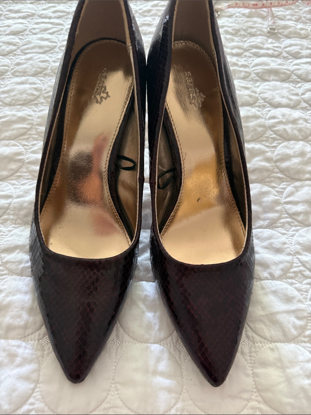 Sears Women's Pointed-Toe Pumps in Deep Burgundy